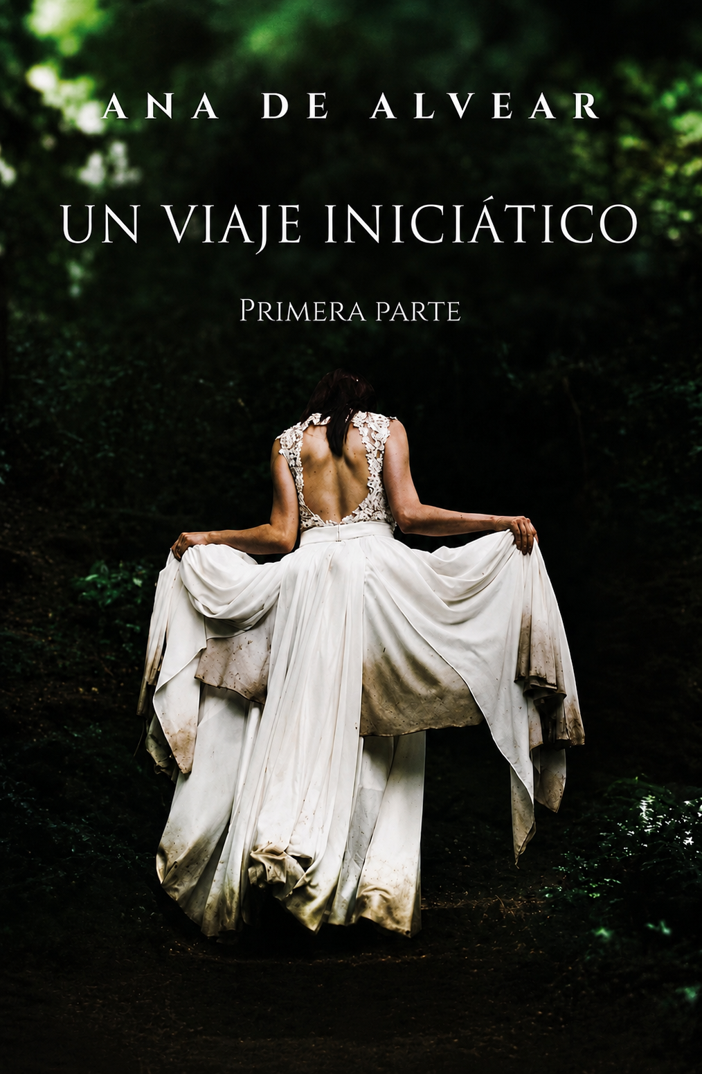 Portada de Un viaje iniciático